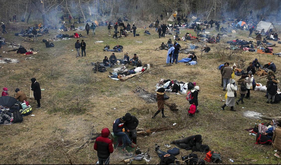 
Migranter har samlats i Edirne, Turkiet, nära gränsen mot Grekland. Foto: Emrah Gurel/TT/AP                                                