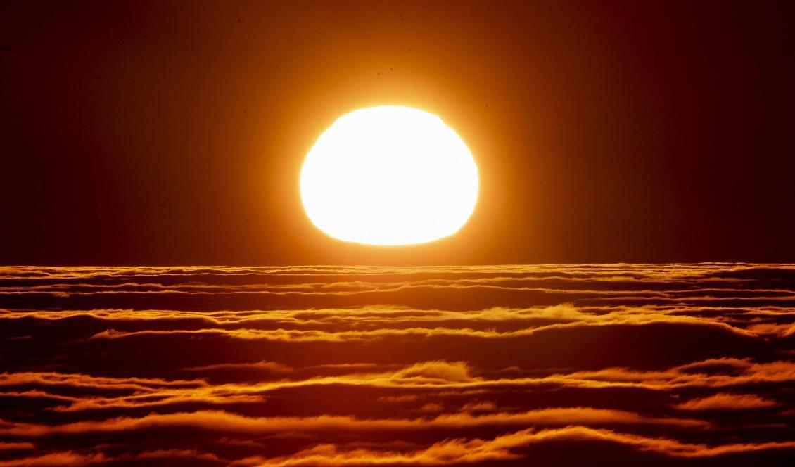 Tidigt på måndag morgon skjuts rymdfarkosten Solar Orbiter, som ska undersöka solen, upp. Bild på en soluppgång i Tyskland. Foto: Michael Probst/AP/TT