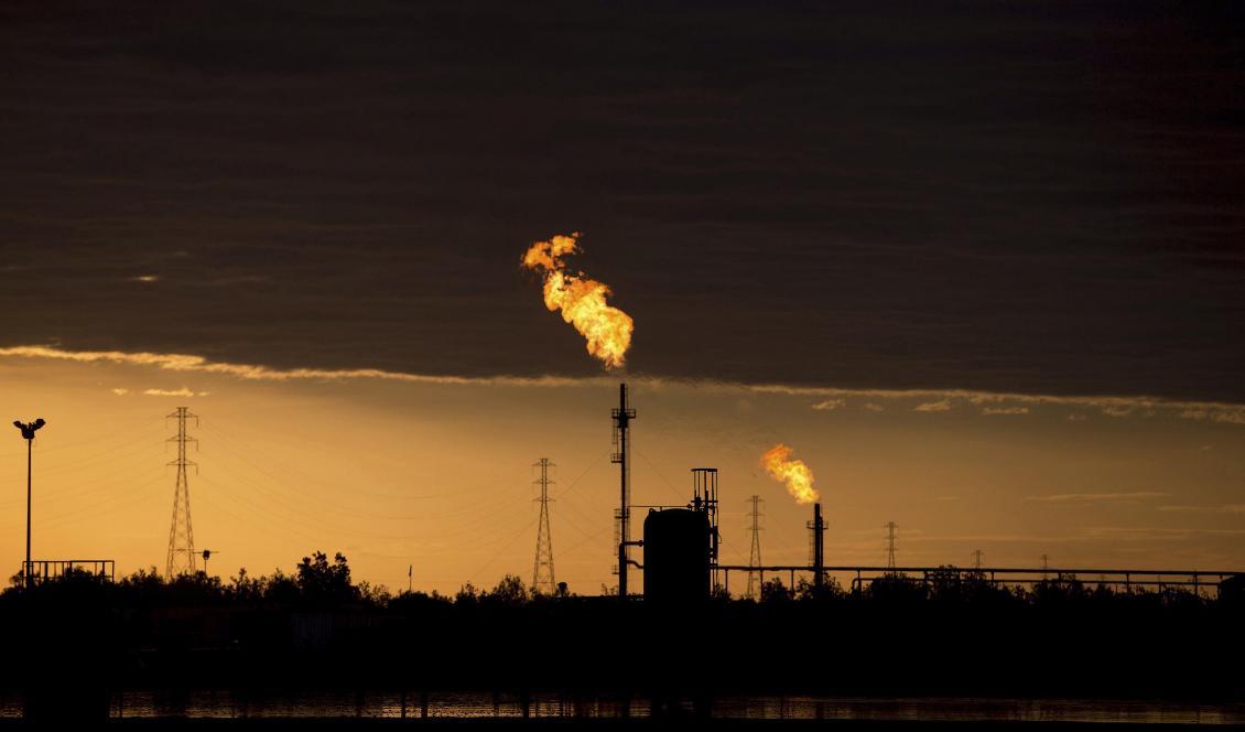 USA inför sanktioner mot ett ryskt dotterbolag för att det stöttat den venezuelanska oljeindustrin. Foto: Fernando Llano/AP/TT-arkivbild