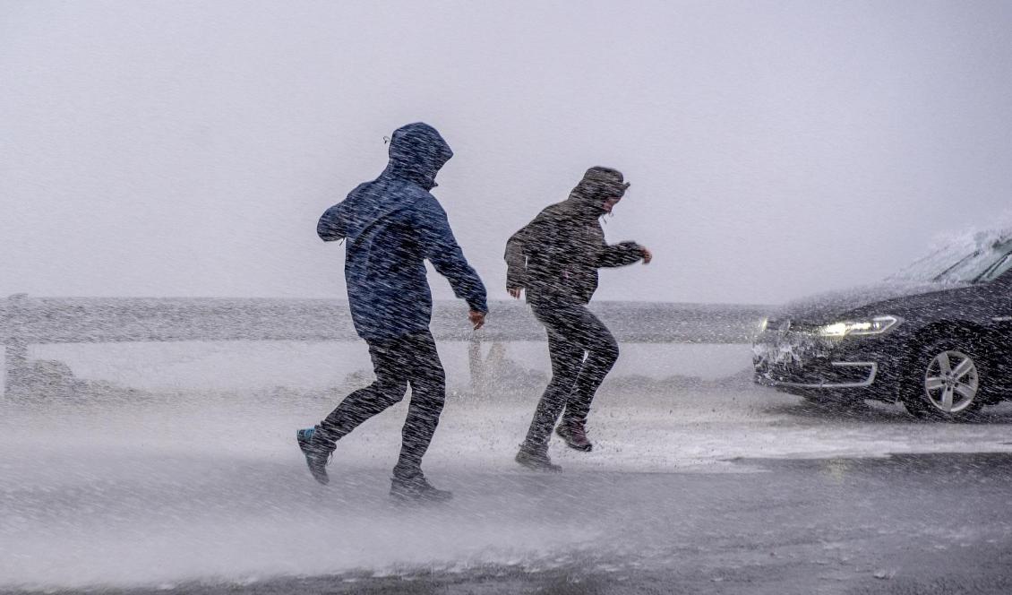 Räkna med blåst och regn i helgen. Foto: Foto: Kent Even Grundstad/NTB scanpix/TT-arkivbild