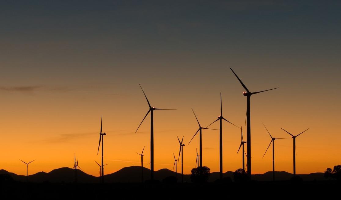 Foto: Markus Distelrath