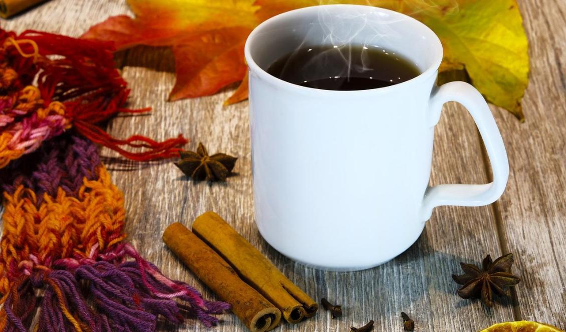 Svart och grönt te, kanel och en massa andra saker hjälper dig att stärka immunförsvaret. Foto: Bruno Germany