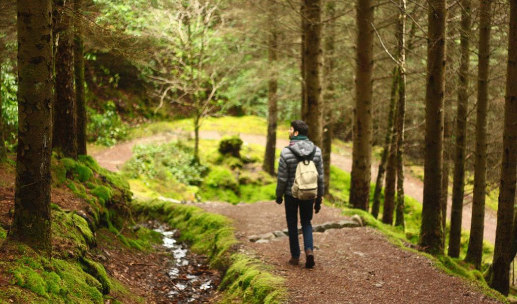 Att vistas ute i naturen är mycket avstressande visar en mängd forskning. Foto: Tamara Garcevic