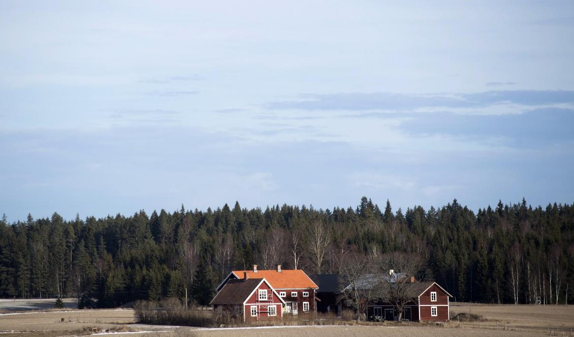 Dialektkartan innehåller inspelningar till stor del från äldre på landsbygden. Foto: Fredrik Sandberg/TT-arkivbild