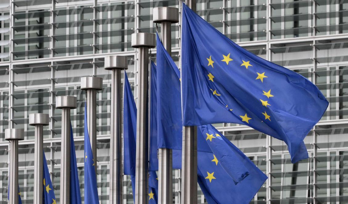 EU-flaggor utanför EU-kommissionen i Bryssel. Foto: Yves Logghe/AP/TT-arkivbild
