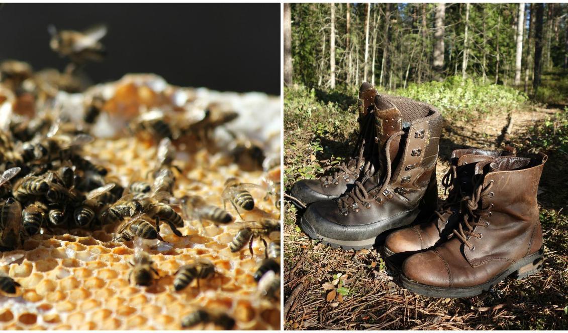 

Bivax är en bra grund för naturligt läderfett för skovård. Foto: Christian Neßlinger/Pixabay (vä), Eva Sagerfors/Epoch Times (hö)                                                                                                
