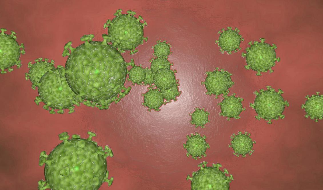 Foto: Henkie Tenk/Pixabay