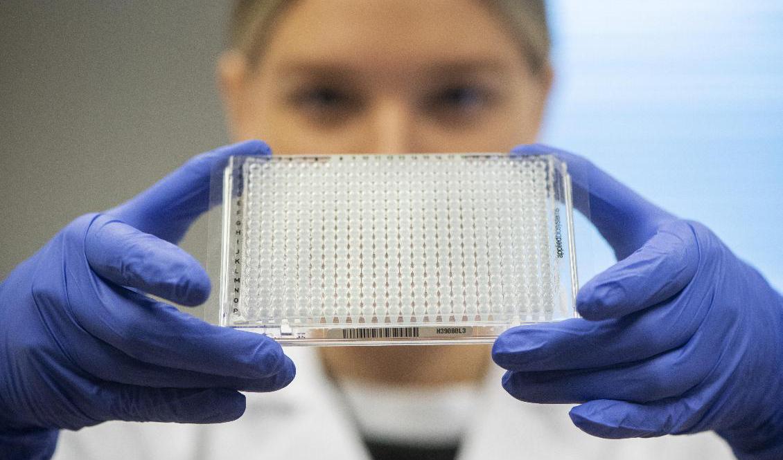 Enligt Folkhälsomyndigheten behövs det kanske inte så många som 100|000 tester i veckan. Foto: Fredrik Sandberg/TT-arkivbild