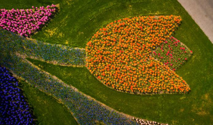 Med tillstånd av Albert Dros.