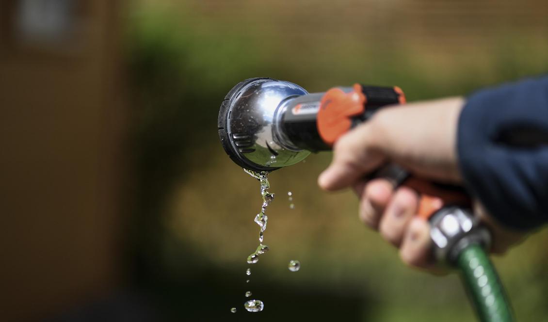 Flera kommuner har infört bevattningsförbud i april och maj. Foto: Pontus Lundahl/TT