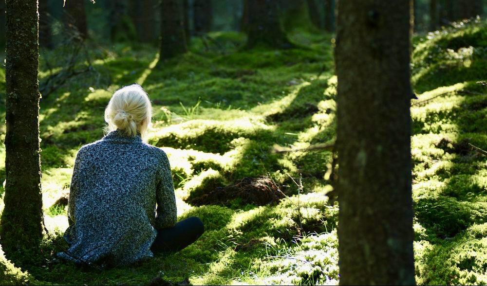 När vi går tillbaka till samma plats knyter vi an till de växter, djur och element som finns där på ett djupare sätt. Foto: Matthew Wilkins