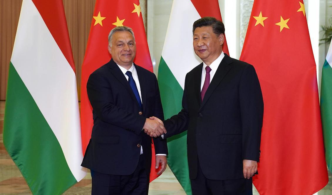 Ungerns premiärminister Viktor Orban (vä) skakar hand med den kinesiske ledaren Xi Jinping (hö) vid ett möte om den nya Sidenvägen, den 25 april 2019. Foto: Andrea Verdelli/AFP via Getty Images