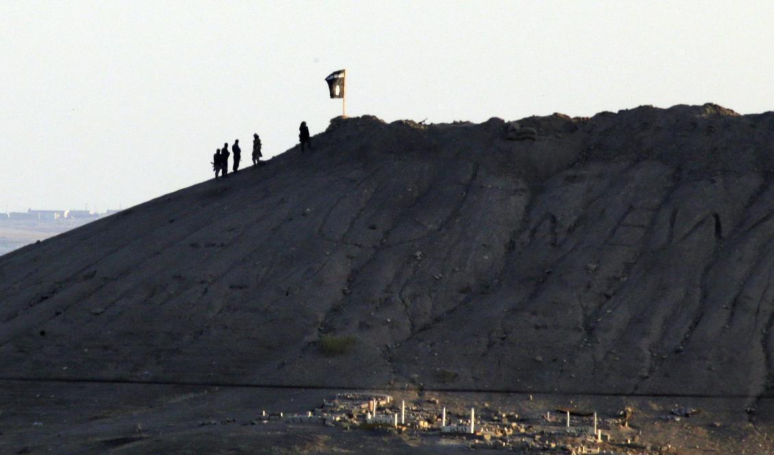IS-medlemmar reser sin flagga på en kulle utanför Kobane i Syrien. Bilden är från 2014, och tagen från den turkiska sidan av gränsen. Foto: Lefteris Pitarakis/AP/TT-arkivbild