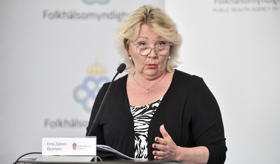 Erna Zelmin-Ekenhem, generaldirektör vid Arbetsmiljöverket, säger att många försöker sko sig på bristen på skyddsutrustning i coronapandemins spår. Foto: Anders Wiklund/TT-arkivbild