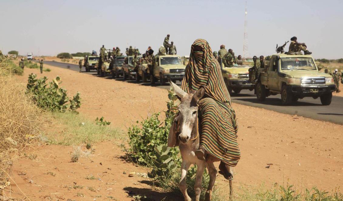 Omkring 2,5 miljoner människor har tvingats fly sina hem under de tidigare oroligheterna i Darfurprovinsen i Sudan. Nya oroligheter har blossat upp. Foto: Abd Raouf/AP/TT-arkivbild