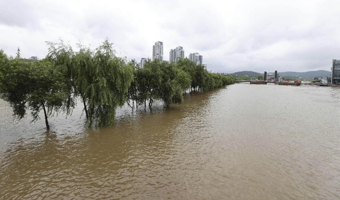 En översvämmad flod i den sydkoreanska huvudstaden Seoul på söndagen. Foto: Kim In-chul/AP/TT