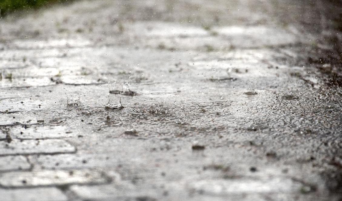 På vissa platser i landet finns det en risk för både skogsbrand och stora regnmängder. Foto: Marcus Ericsson/TT-arkivbild