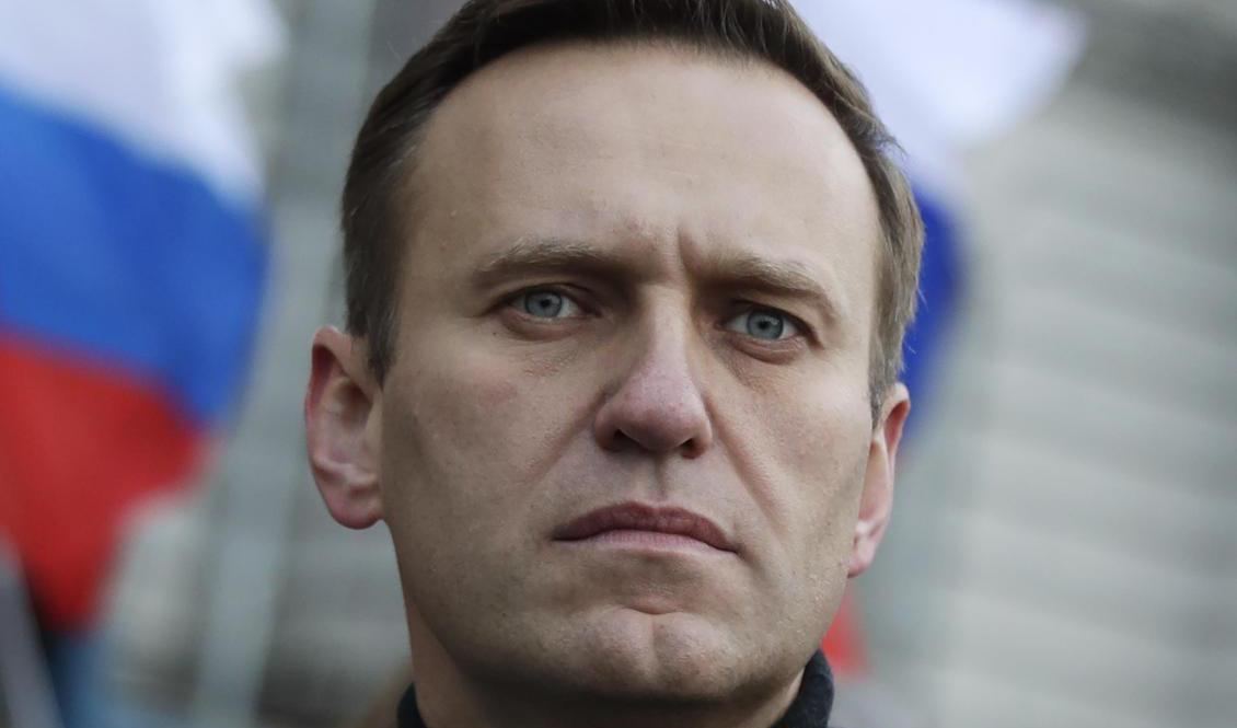 Den ryske oppositionspolitikern Aleksej Navalnyj. Foto: Pavel Golovkin/AP/TT-arkivbild