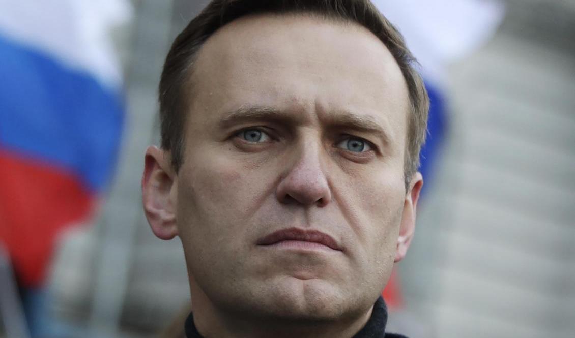 Den ryske oppositionspolitikern Aleksej Navalnyj. Foto: Pavel Golovkin/AP/TT-arkivbild