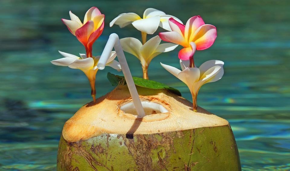 
Kokosvatten kan vara den ultimata drycken efter träningen – eller helt enkelt bara en god och nyttig dryck. Foto: Pixabay

                                            