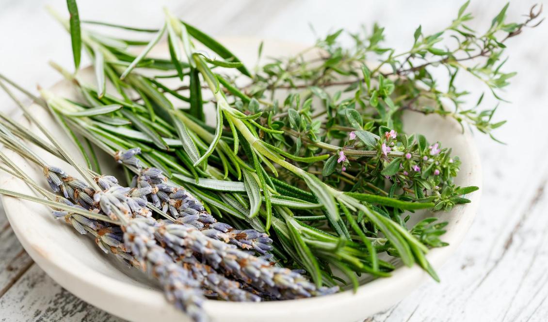 Franska örter. Foto: Pixabay