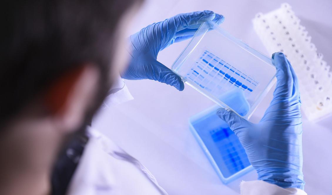 Ett laboratorium i Belo Horizonte i Brasilien. Bilden är tagen den 24 mars 2020. Foto: Pedro Vilela/Getty Images