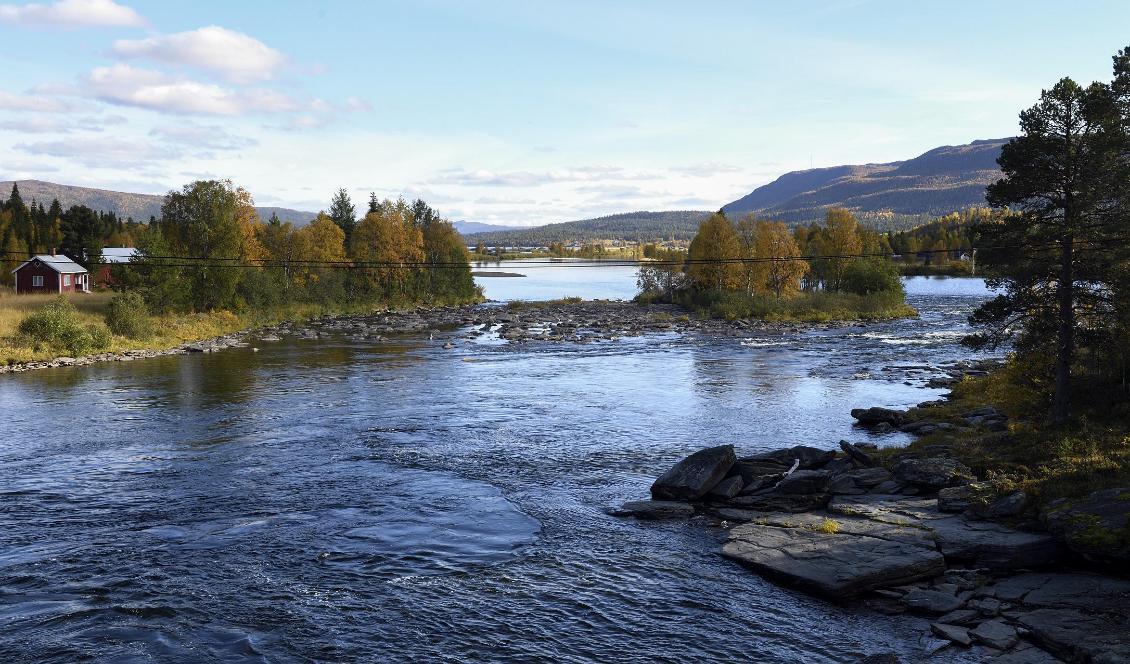 140 kilometer norrländska vattendrag kommer att återställas i det nya vattenvårdsprojektet. Foto: Henrik Montgomery/TT-arkivbild