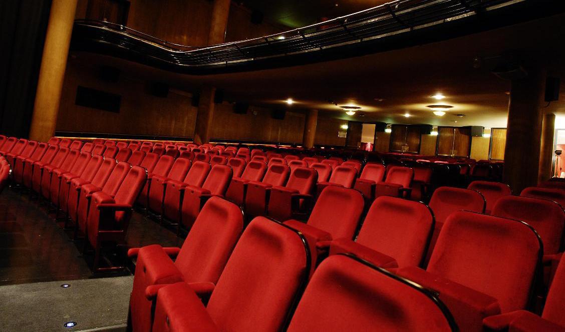 Folkets hus och parker börjar med livevisningar på bio igen. Arkivbild. Foto: Jurek Holzer/SvD/TT