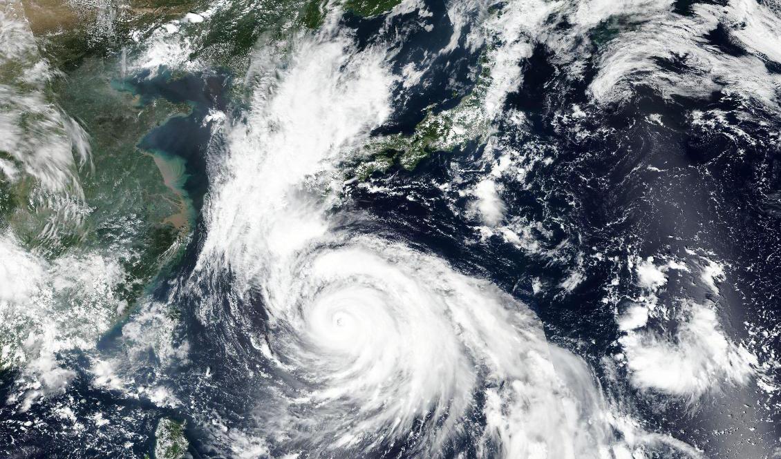 Satellitbild över tyfonen Haishen över Okinawa på lördagen. Foto: Nasa/AP/TT
