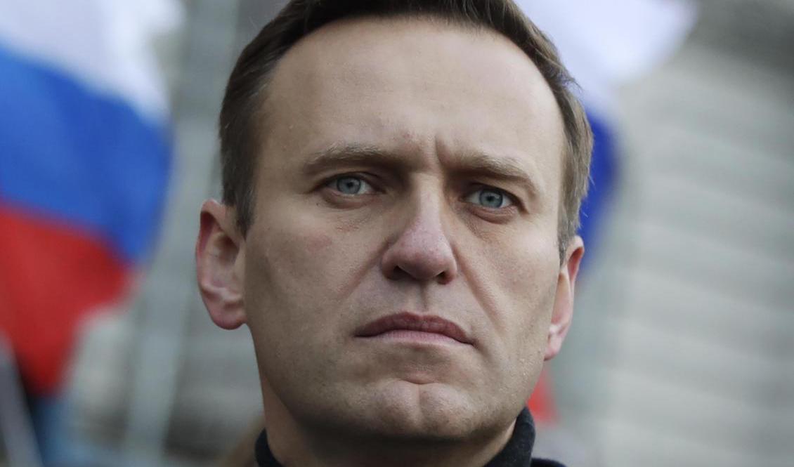 Den ryske regimkritikern Aleksej Navalnyj. Arkivbild. Foto: Pavel Golovkin /AP/TT