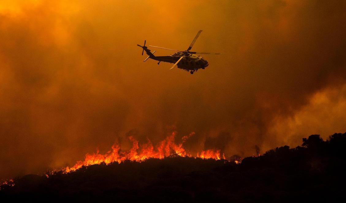 En helikopter vid släckningsarbetet vid branden Lake Hughes norr om Santa Clarita. Foto: Ringo H.W. Chiu/AP/TT