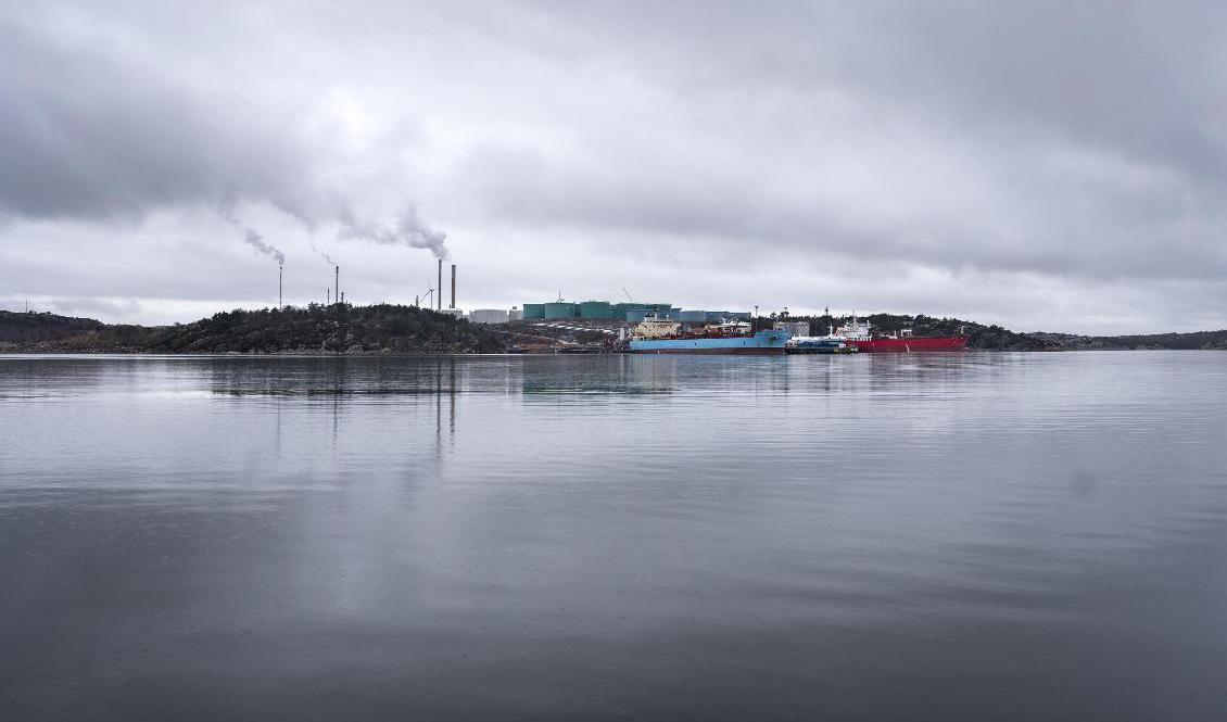 Greenpeace blockerar med sitt fartyg inloppet till Preemraff i Lysekil. Arkivbild. Foto: Björn Larsson Rosvall/TT