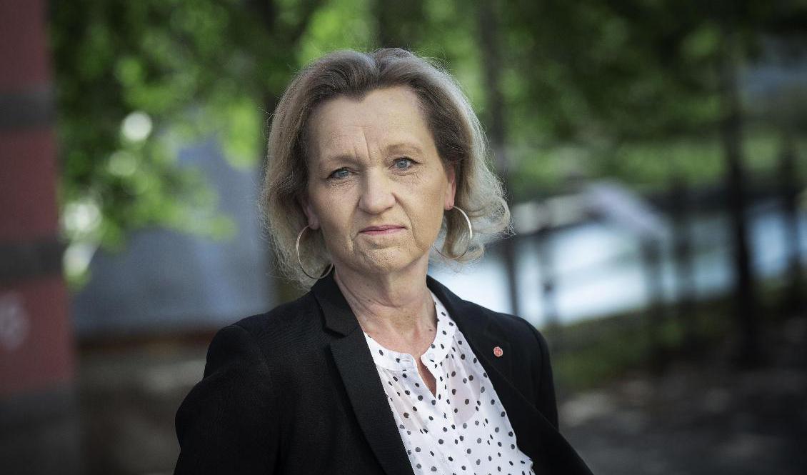 Boel Godner (S) kritiserar ebo-lagen och reglerna för arbetskraftsinvandring, som hon menar är för generösa. Arkivbild. Foto: Malin Hoelstad/SvD-TT