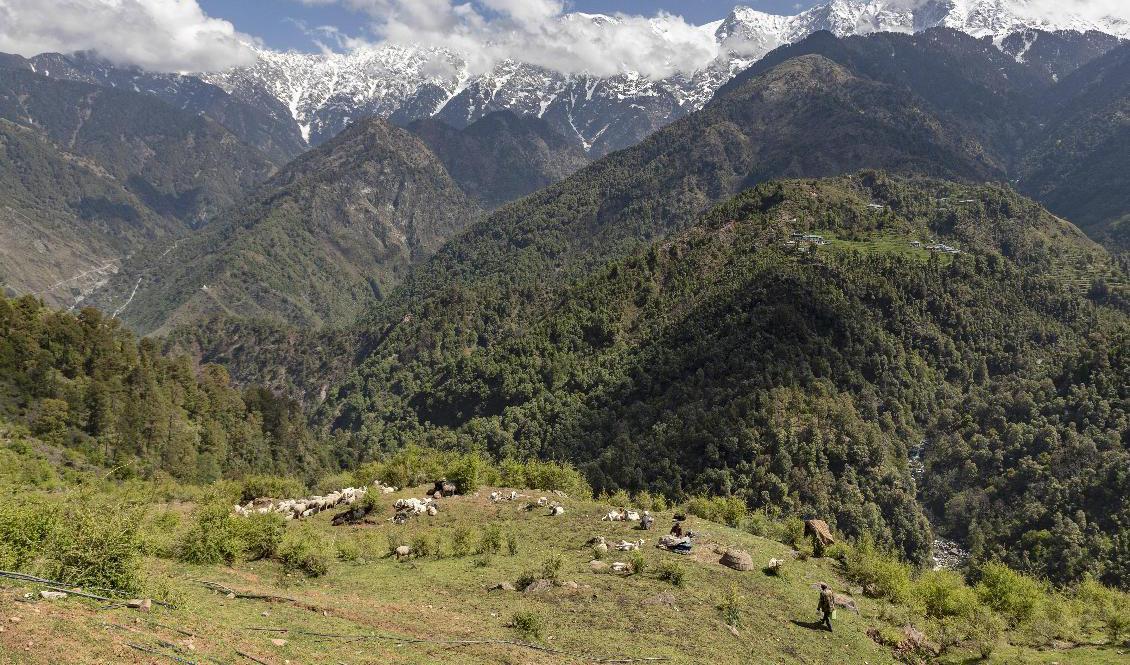 
Gränsområdet mellan Kina och Indien i Himalaya har blivit skådeplats för eskalerad motsättning. Arkivbild.  Foto: Ashwini Bhatia/AP/TT                                            