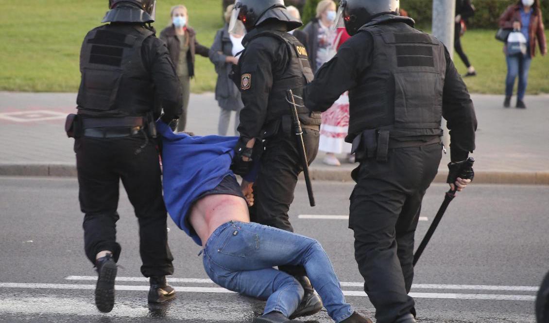 Kravallpolis i Belarus huvudstad Minsk för bort en demonstrant som protesterar mot att Aleksandr Lukasjenko svurit presidenteden tidigare under dagen. Foto: Tut/AP/TT