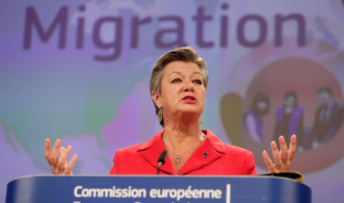 EU:s inrikeskommissionär Ylva Johansson presenterar sin asyl- och migrationspakt i Bryssel. Foto: Stephanie Lecocq/AFP/TT