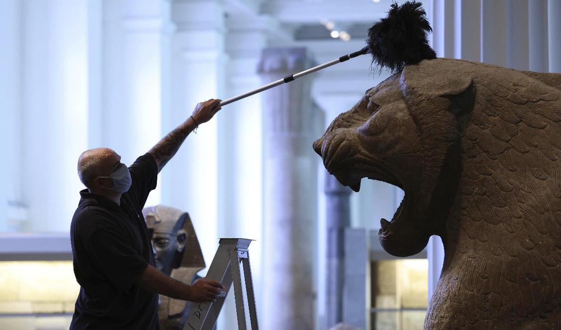 En medarbetare på British Museum dammar av en staty i den egyptiska sektionen av museet. Bilden har ingen koppling till skulturen i artikeln.  Foto: Yui Mok/AP/TT