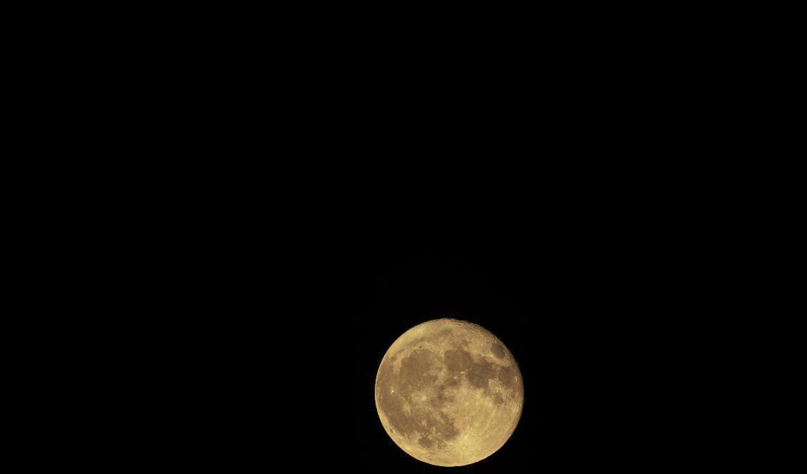 Här är månen – och Mars, synlig som en liten prick i längst upp i bilden – fotograferad från Olympia i den amerikanska delstaten Washington den 2 oktober. Foto: Ted S Warren/AP-TT