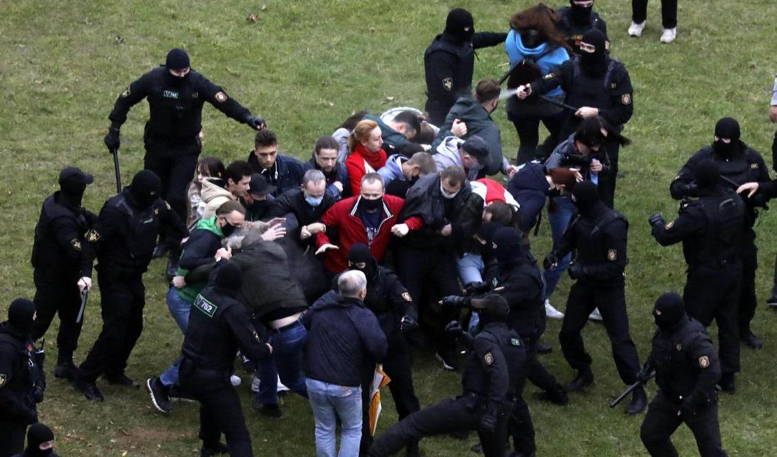 Belarusiska poliser angriper demonstranter i huvudstaden Minsk på söndagen. Foto: AP/TT