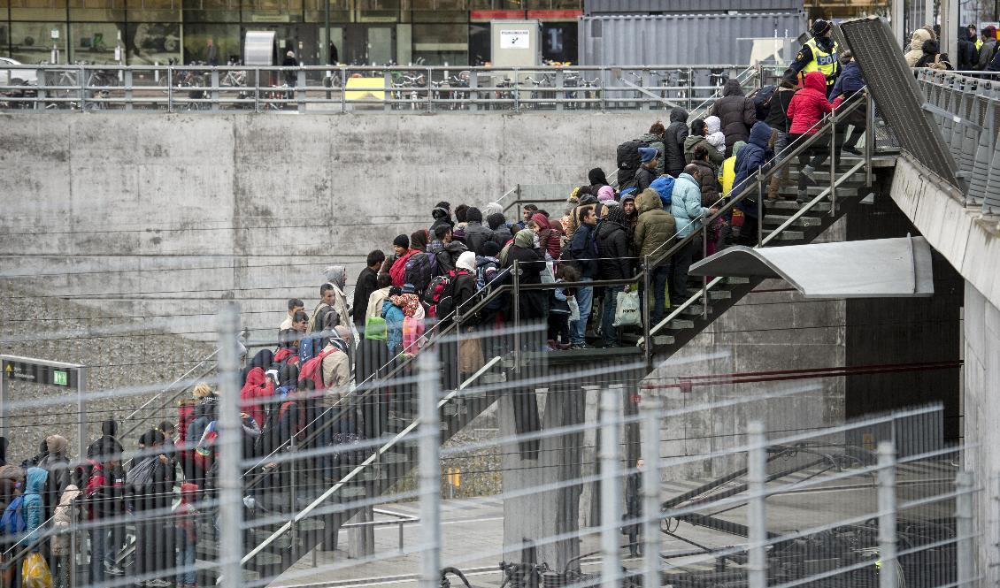 Flyktingvågen 2015. I november slog Migrationsverket larm om att alla asylsökande inte längre kunde erbjudas boende. Arkivbild. Foto: Johan Nilsson/TT
