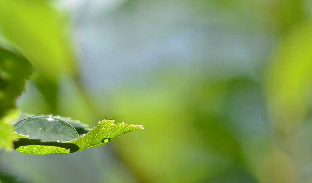 Foto: Matthew Wilkins