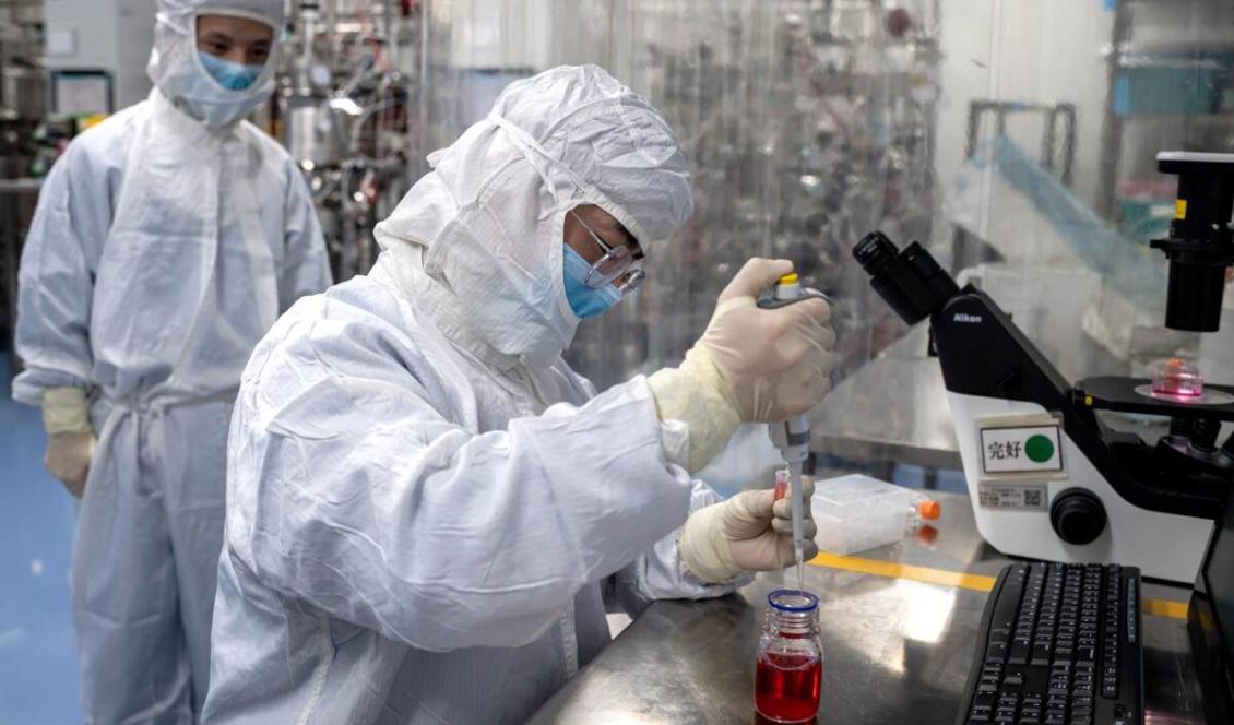 En laboratoriearbetare testar ett försöksvaccin mot covid-19 vid Sinovac Biotech i peking, den 29 april 2020. Foto: Nicolas Asfouri/AFP via Getty Images