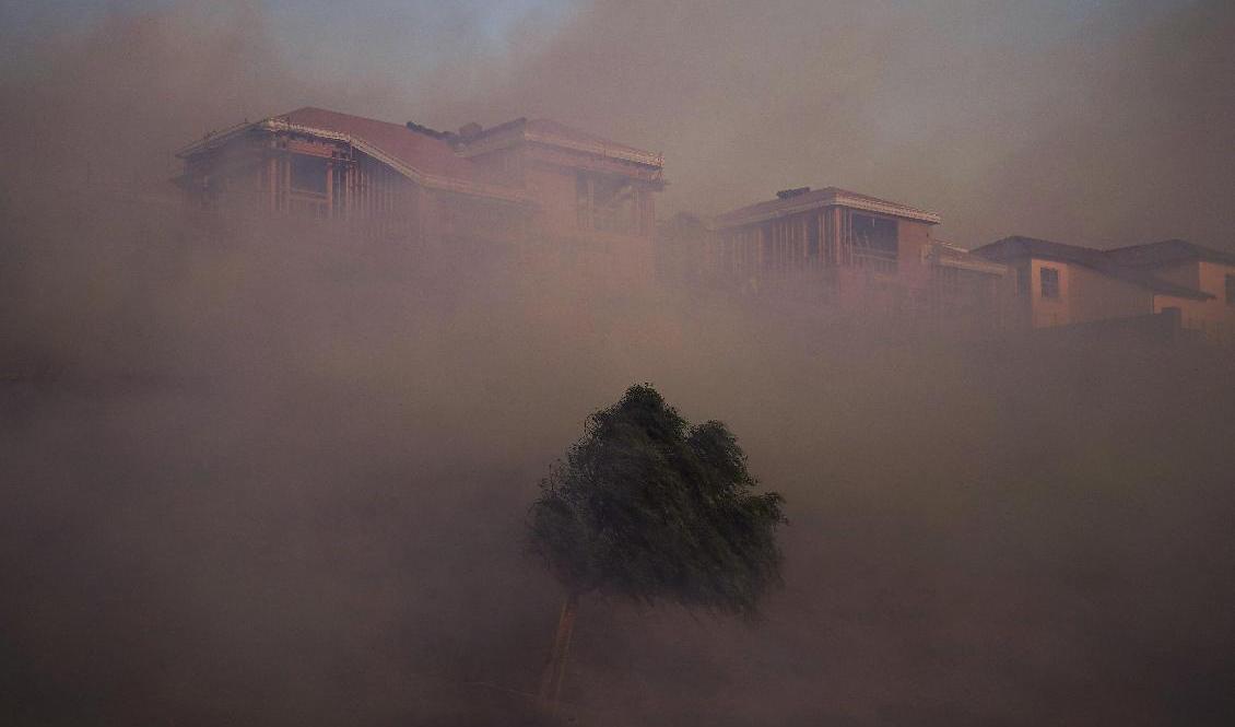 
Silveradobranden i Kalifornien har tvingat tusentals människor att fly sina hem. Foto: Jae C Hong/AP/TT                                            