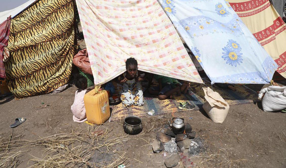 Flyktingar har tagit sig till Sudan från Tigrayregionen i Etiopien. Foto: Marwan Ali/AP/TT