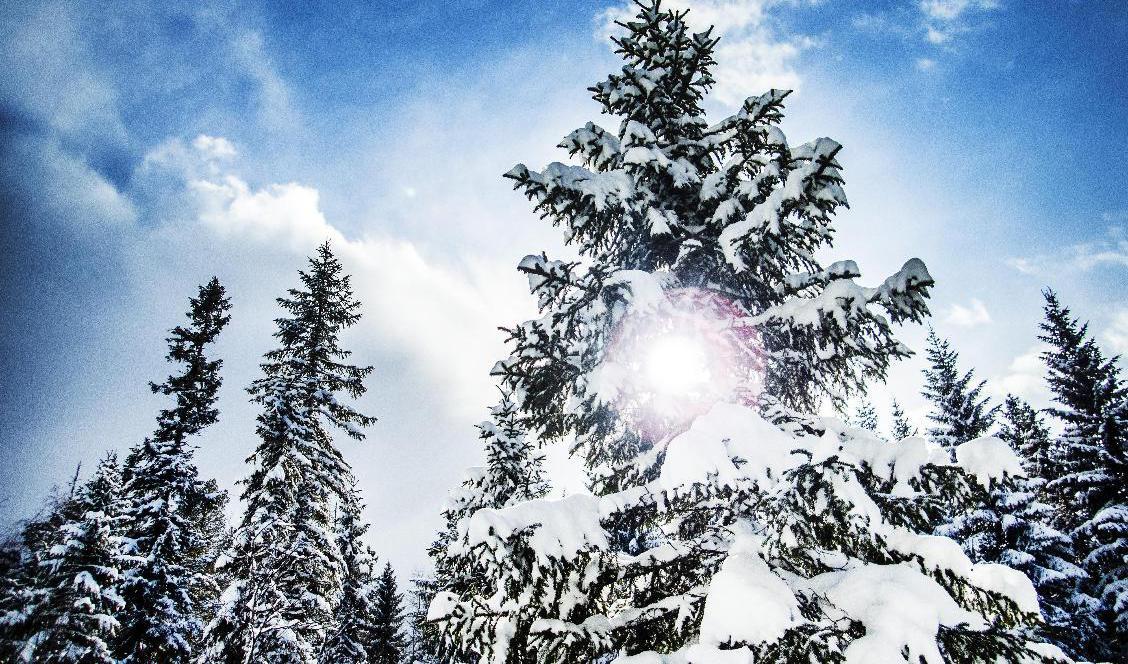 Rejält med snö på ingång i norr. Arkivbild. Foto: Gorm Kallestad/NTB/TT