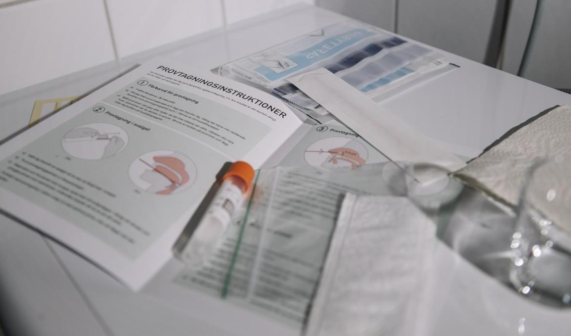 Folkhälsomyndigheten vill att bokningssidor på nätet ska kunna spärras en kort tid för att en person inte ska kunna beställa flera covid-tester i onödan. Arkivbild. Foto: Stina Stjernkvist/TT