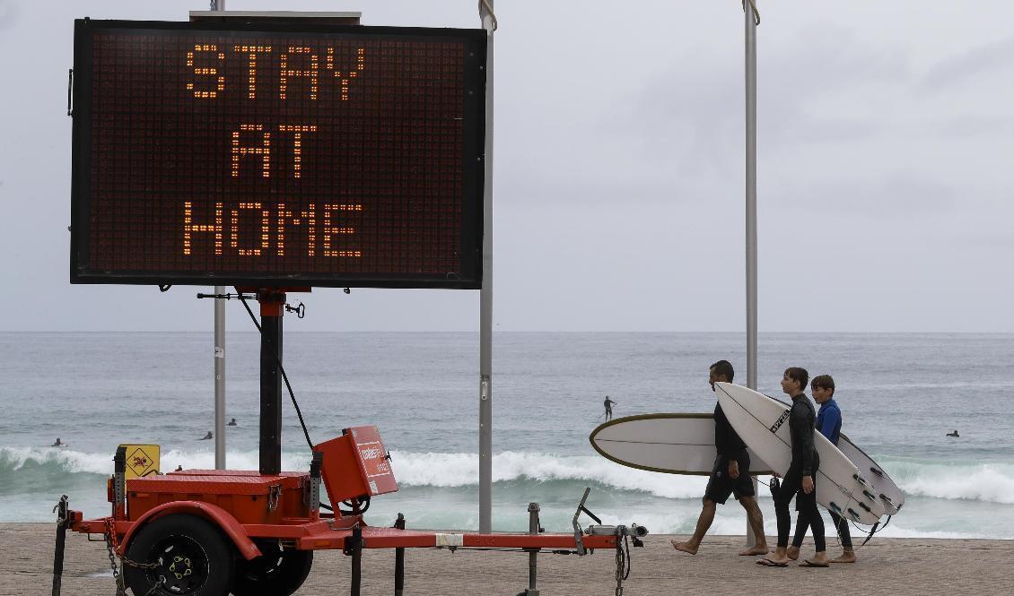Invånarna i Manly norr om centrala Sydney uppmanas att hålla sig hemma. Bild från i måndags. Foto: Mark Baker/AP/TT