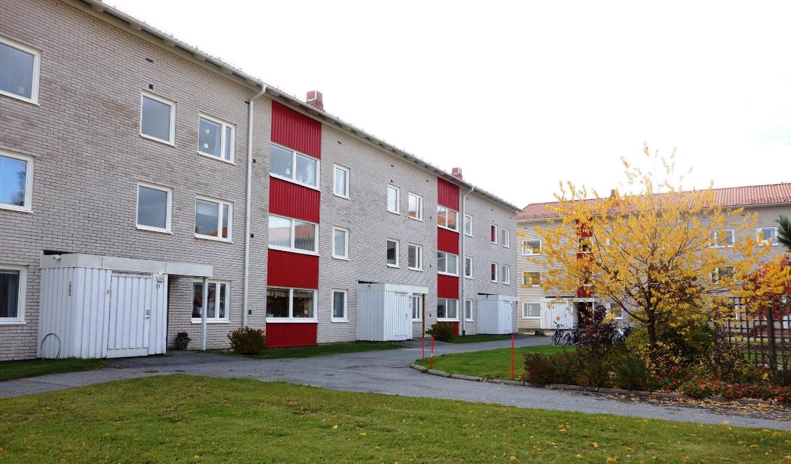 Så kallad social dumpning är ett stort problem för många kommuner runt om i landet. Foto: Eva Sagerfors/Epoch Times. Arkivbild.
