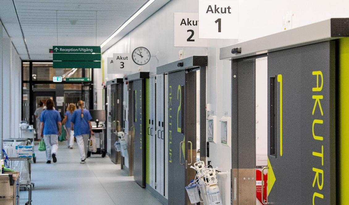 På bilden syns intensivvårdsavdelningen på Danderyds sjukhus i Stockholm den 13 maj 2020. Foto: Jonathan Nackstrand/AFP via Getty Images