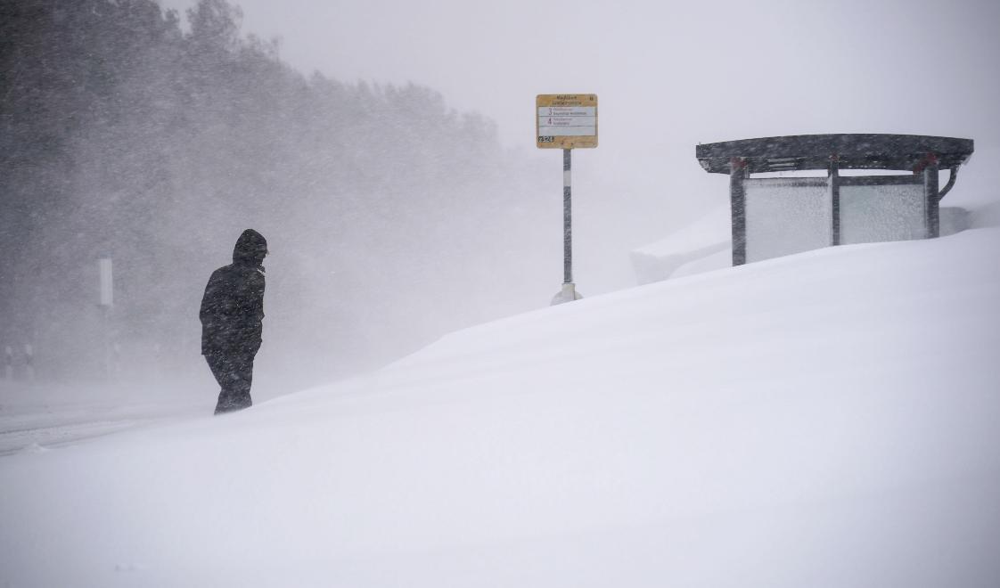 I delar av Norrland kommer det att snöa ordentligt under måndagen – uppåt 70 centimeter. Arkivbild. Foto: Johan Nilsson/TT